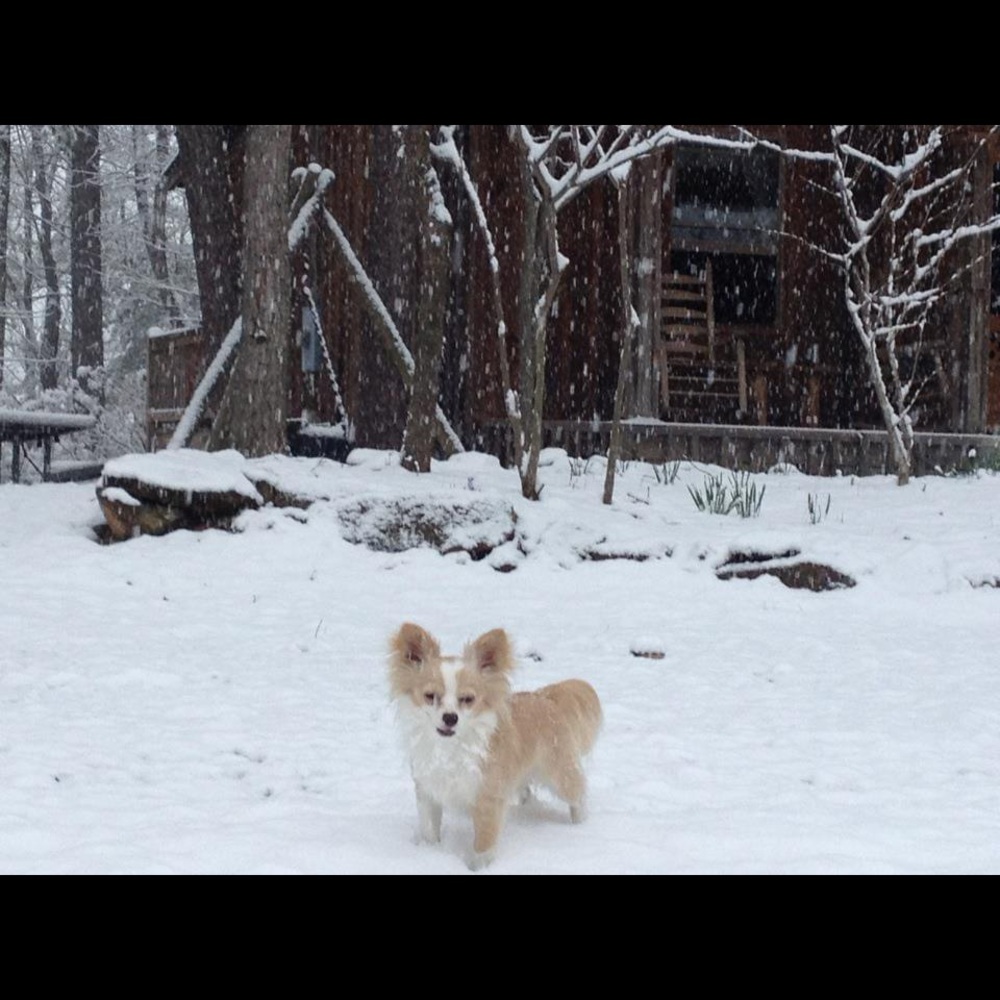 99%OFFERS ACCEPTED!! What doesn’t sell is bagged up 2B DONATED !🛍️ - Picture 6 of 7